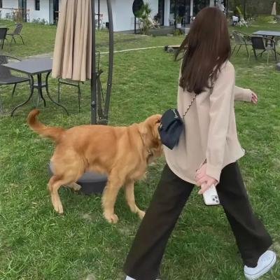我杀了我妈妈